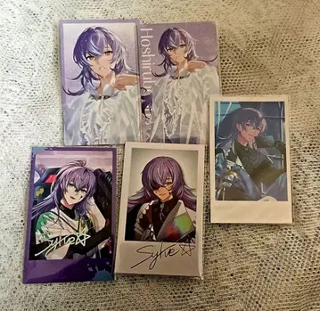 호시미치 쇼 폴라로이드