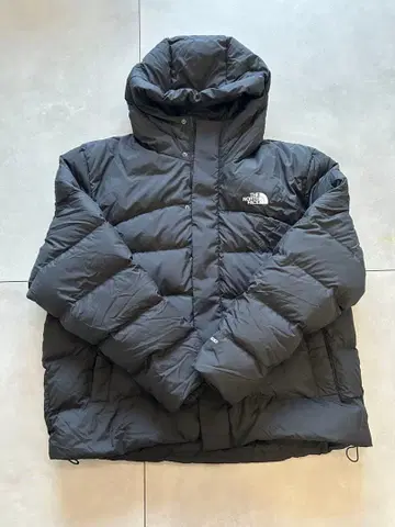 THE NORTH FACE BALTIC DOWN PUFFER HOODIE