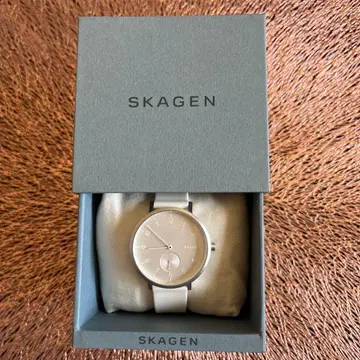 SKAGEN 스카겐 SKW2763