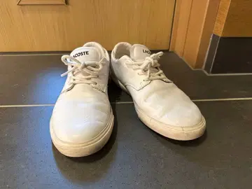 LACOSTE 화이트 스니커즈
