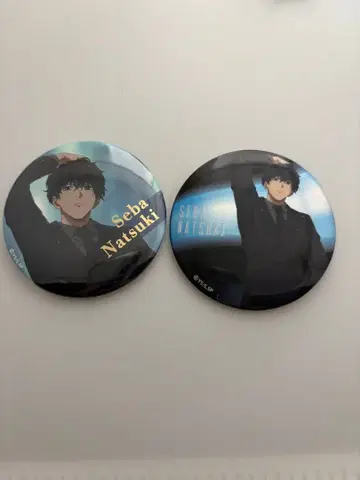 사카모토 데이즈 세바 나츠키 배지 2개 세트