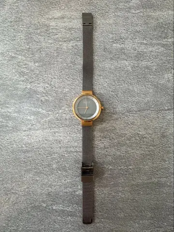 BERING(베이링) 여성용 솔라 손목시계