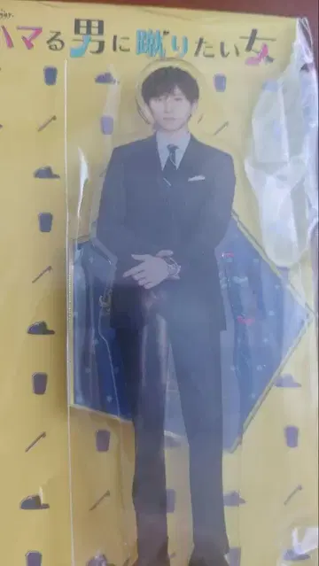 아크릴 스탠드, 빠져드는 남자에게 차고 싶은 여자