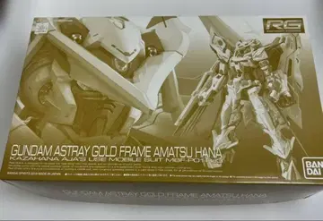 RG 건담 아스트레이 골드 프레임 천 조립 완료 박스 있음