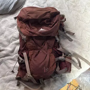 그레고리 Z353 백팩 브라운