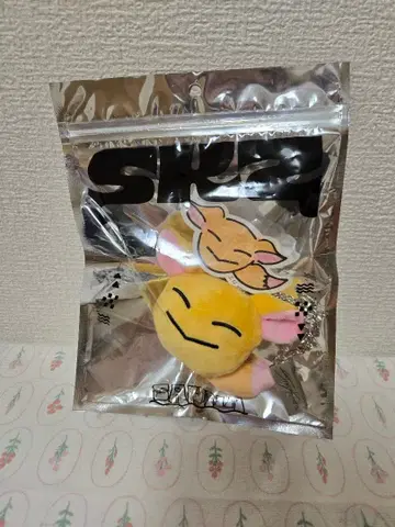 straykids 스키즈 사우나 아이엔 백참 멘프로