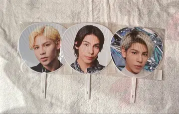 라울 부채 3장 세트