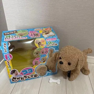 코코 거꾸로 서 애프리콧