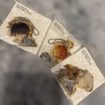 약속의 네버랜드 참 포함 아크릴 키링 3개 세트