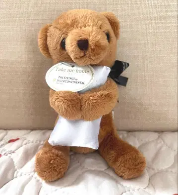 인터콘티넨탈 곰 봉제 인형 테디베어