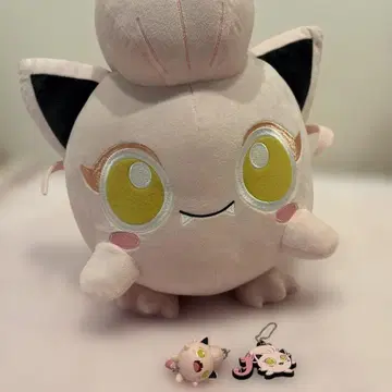 사케부 시포 세트