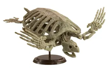 1/35 아케론 골격 드라이 브러시 SO-TA 박물 모형 구락부 2