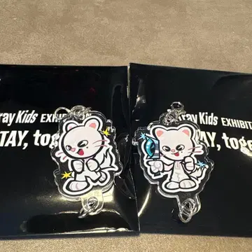 Stray Kids 아크릴 키링 Jiniret 2종 세트