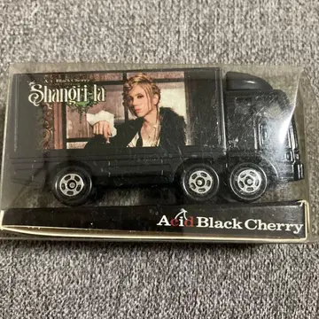 Acid Black Cherry Shangry-ra 투어 트랙