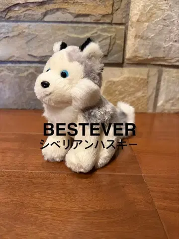 [ 새상품급 ] BESTEVER 시베리안 허스키 봉제 인형