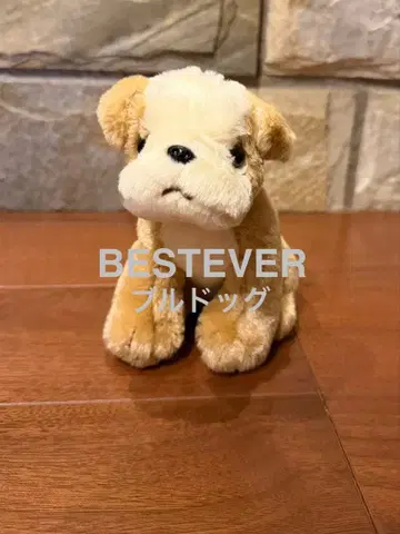 [새상품급] BESTEVER 불독 봉제 인형