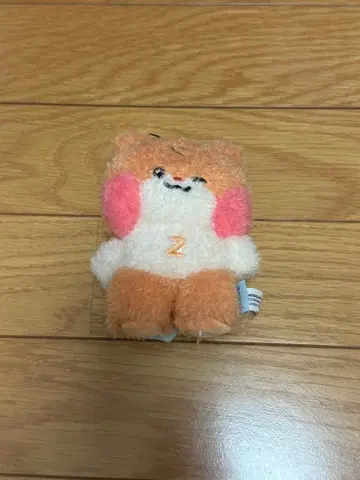 ZB1 제베원 binini 비니니 메시지 키링