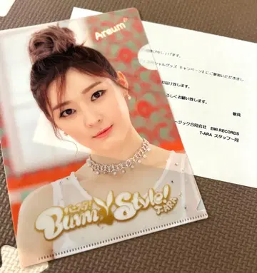 T-ARA 아름 미니 클리어 파일