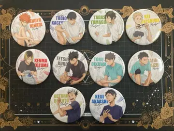 카라파레 하이큐!! 준비 트레이딩 캔뱃지 전 10종 세트 새상품