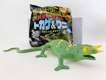 초신축 변형 파충류 리얼 도마뱀 & 악어 잭슨 카멜레온