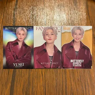 BUTTERFLY EFFECT 야기 유세이 트레카 세트