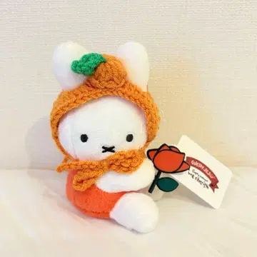 미피 한국 제주도 한정판 화이트/오렌지