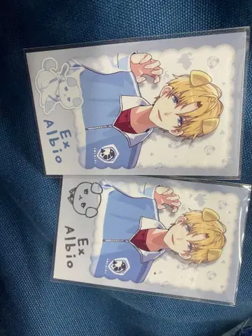 니지산지 원냥 데이즈 폴라로이드 엑스 알비오