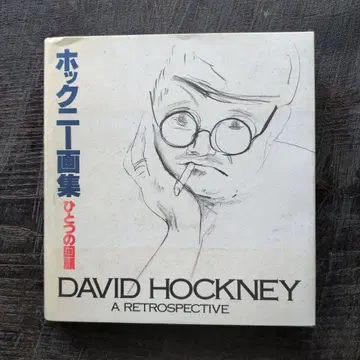 호크니 화집 하나의 회고