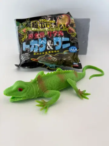 초 늘어나는 변형 파충류 리얼 도마뱀 & 악어 그린 이구아나