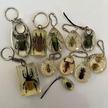 곤충 키링 11개