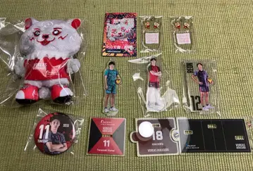 배구 선수 보레아스 굿즈 세트