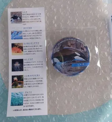나고야항 수족관 수족관de기부 답례품 캔뱃지 범고래