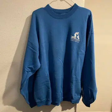 champion 스카이블루 맨투맨