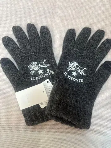 IL BISONTE 장갑