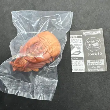 BANDAI NAMCO 생물대도감 사슴벌레:10