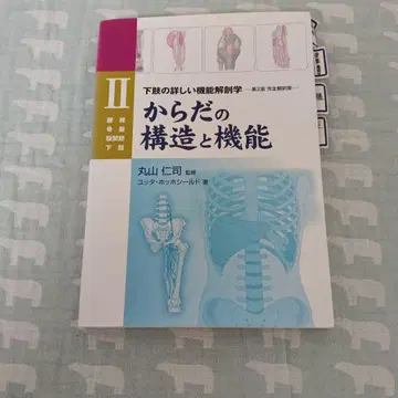 몸의 구조와 기능 II