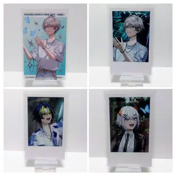 니지산지 WORLD TOUR 2025 고베