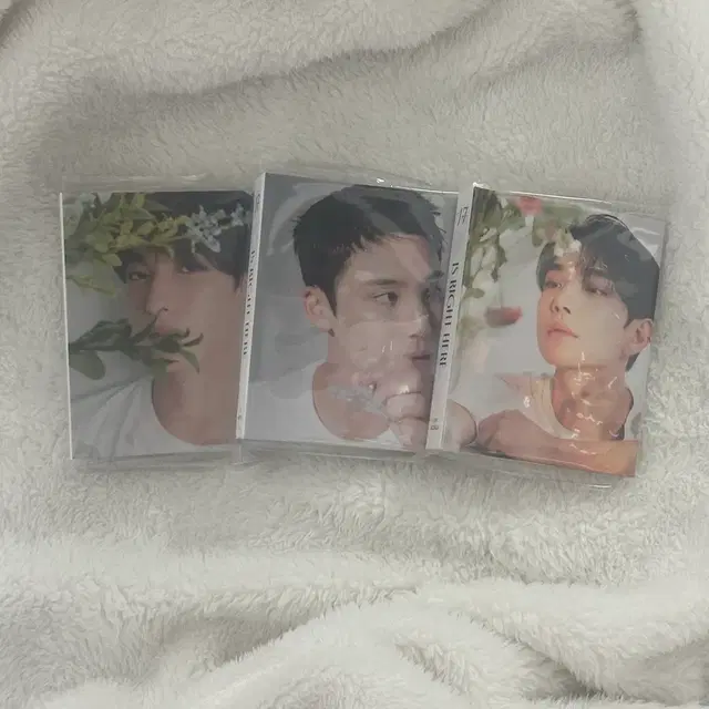 세븐틴 캐럿반 미개봉 바인더 콜북 양도 도겸 민규 조슈아