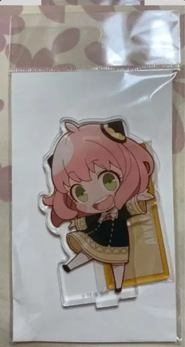 스파이 패밀리 아크릴 스탠드 & 캔뱃지 세트 나고야카 아냐