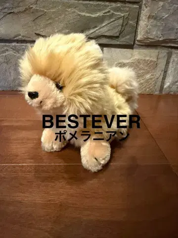 [ 새상품급 ] BESTEVER 포메라니안 봉제 인형