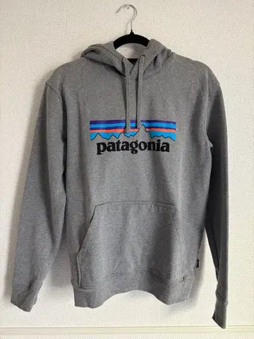 patagonia 후드티