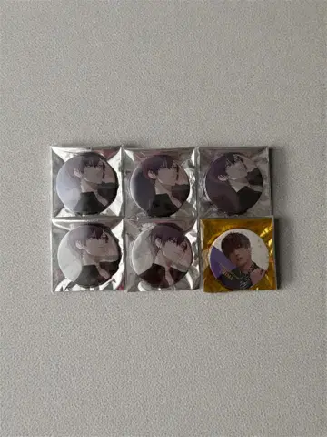 우라시마사카타센 시마 캔뱃지