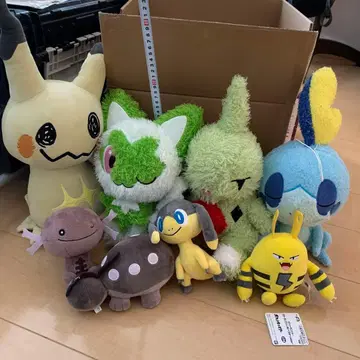 포켓몬 봉제 인형 세트
