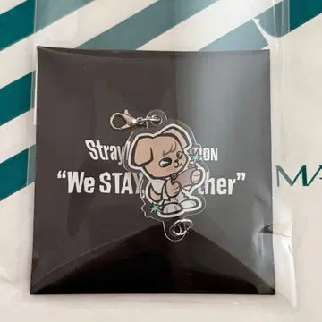 StrayKids 승민 퍼핌 아크링 키링