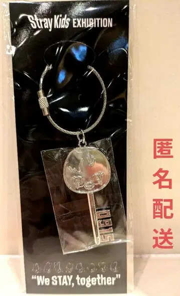 Stray Kids Exhibition 포가리 키링