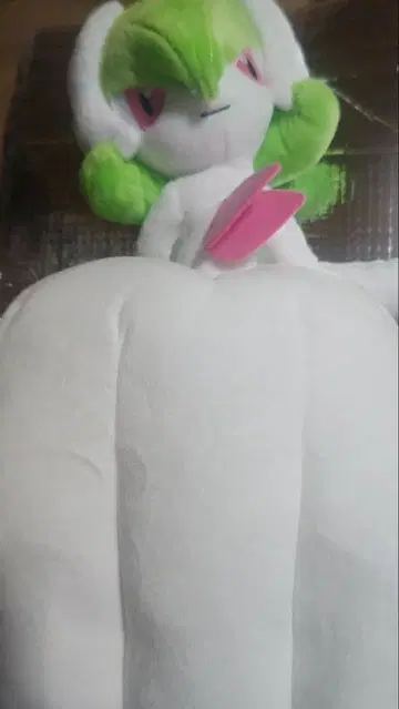 포켓몬 서나이트 봉제 인형 세트