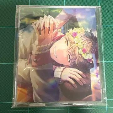 히구미 아키라 아크릴 스탠드 패널 아크릴 스탠드 패널