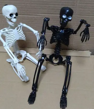 해골 피규어 해골 스켈레톤 가동식