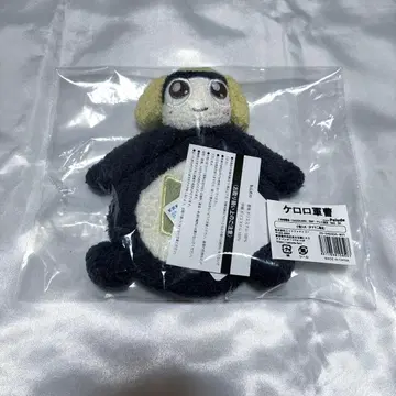 타마마 palude 소품함