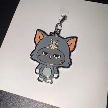 톰과 제리 BOYNEXTDOOR 푸네크도 POPUP 테산 참